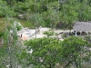 Belize 023